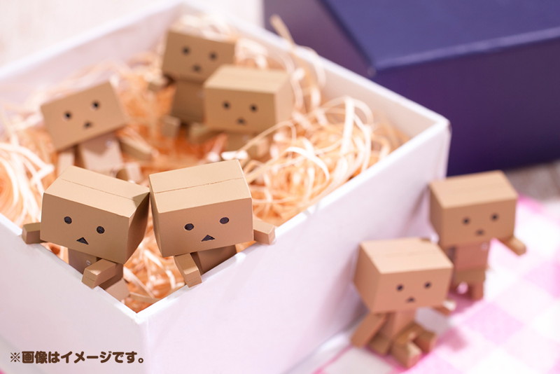 BOX販売 WaiWai DANBOARD