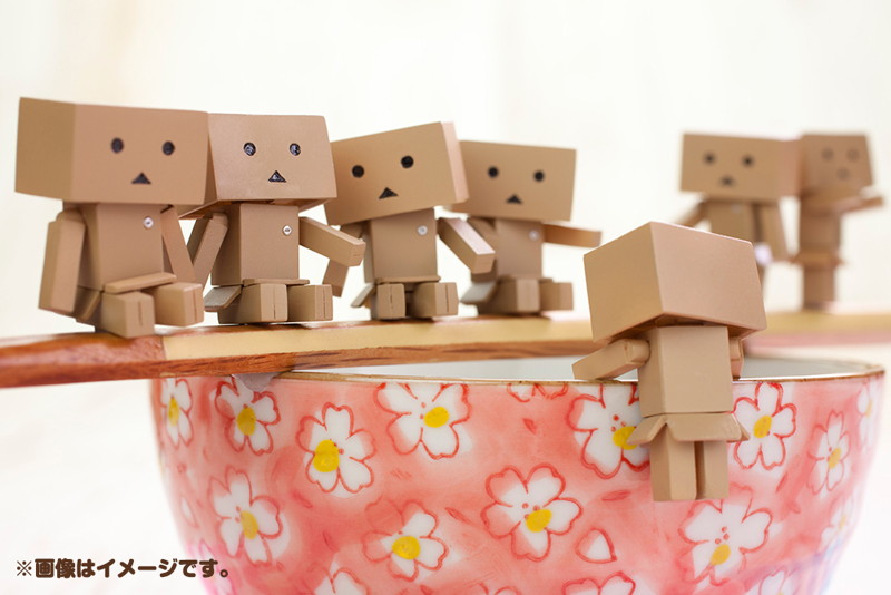 BOX販売 WaiWai DANBOARD