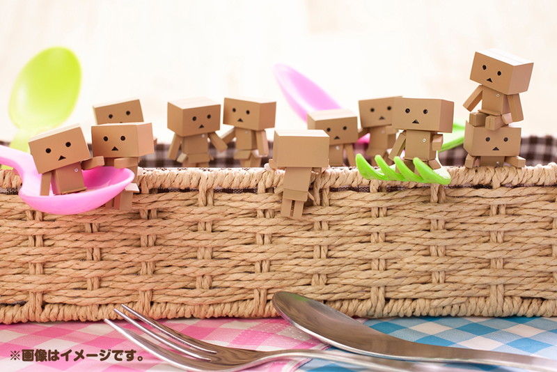 BOX販売 WaiWai DANBOARD