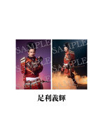 舞台『刀剣乱舞』陽伝 月と太陽と星々よ 歴史上人物 個人ブロマイド（足利義輝）