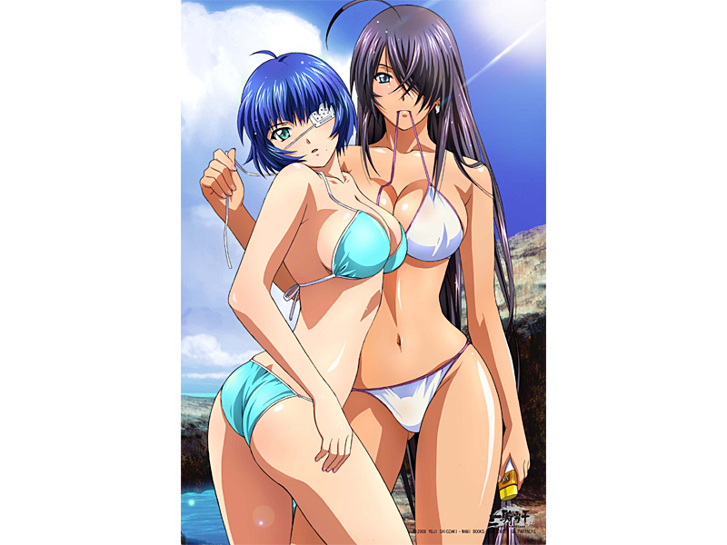 一騎当千 Great Guardians ベッドシーツB 関羽雲長＆呂蒙子明 7,631円