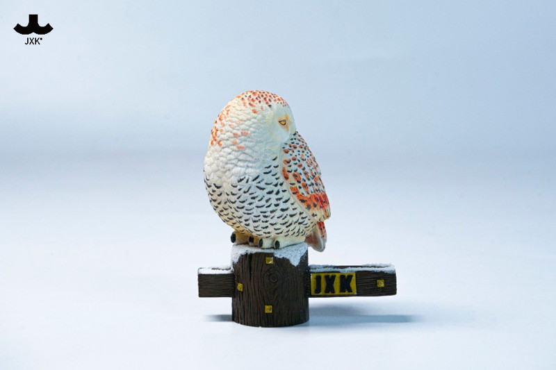 JXKスタジオ シロフクロウ A