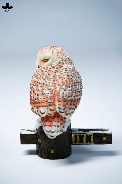 JXKスタジオ シロフクロウ A