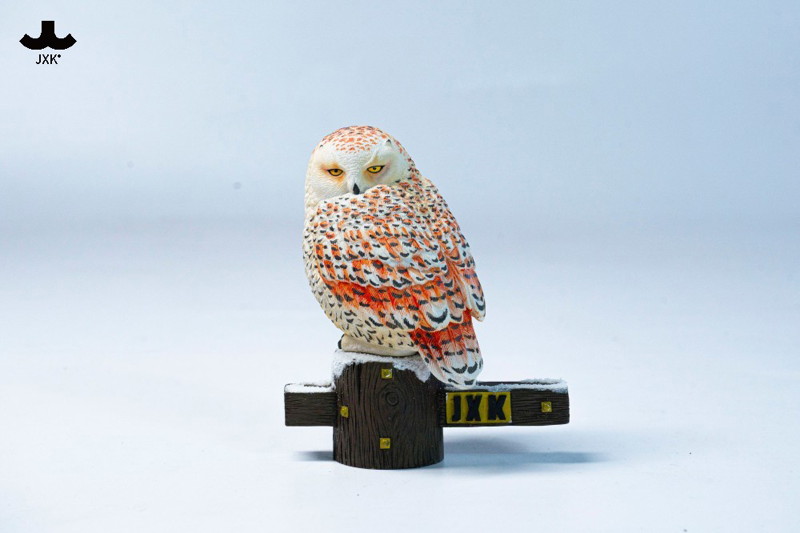 JXKスタジオ シロフクロウ A