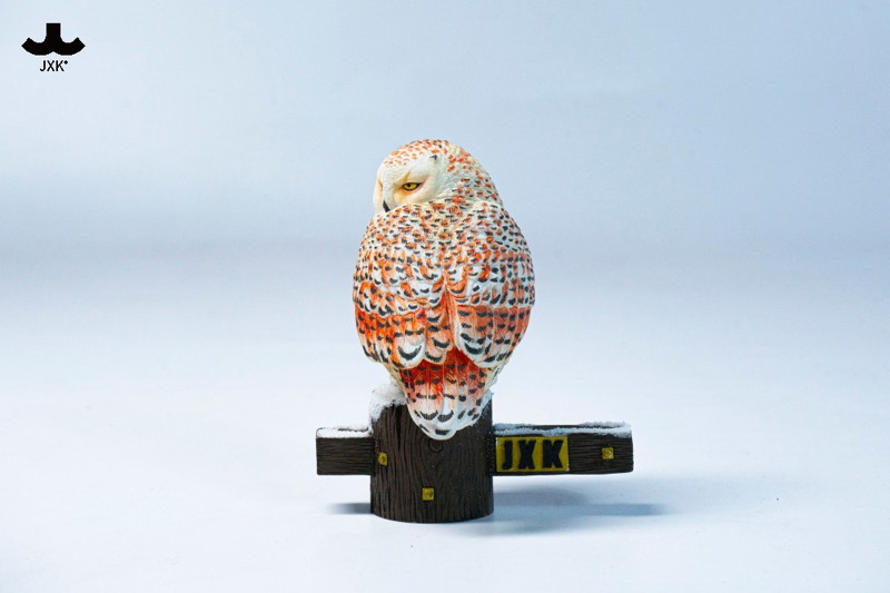 JXKスタジオ シロフクロウ A