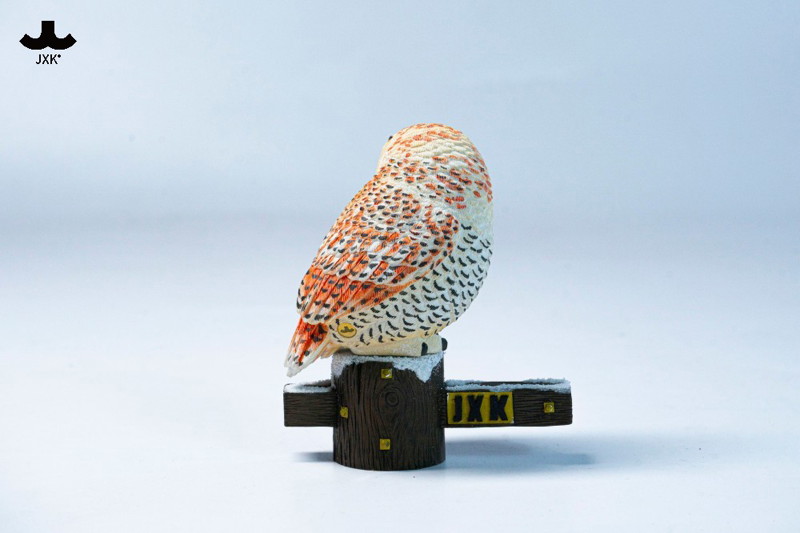 JXKスタジオ シロフクロウ A