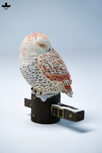 JXKスタジオ シロフクロウ A