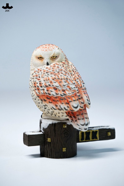 JXKスタジオ シロフクロウ A
