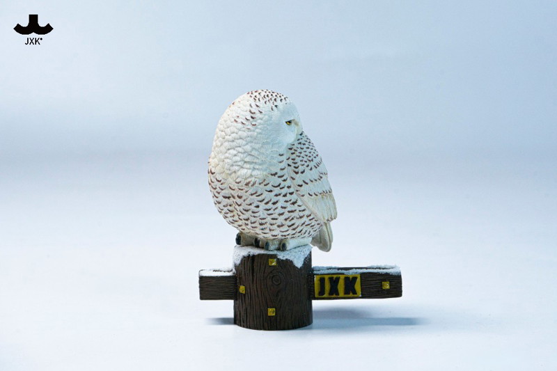 JXKスタジオ シロフクロウ B