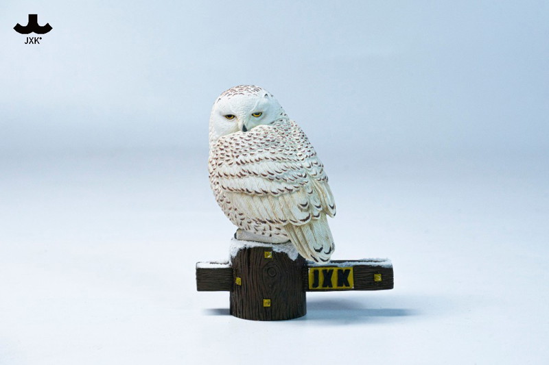 JXKスタジオ シロフクロウ B