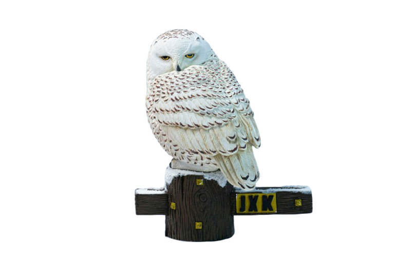 JXKスタジオ シロフクロウ Bのサムネイル画像