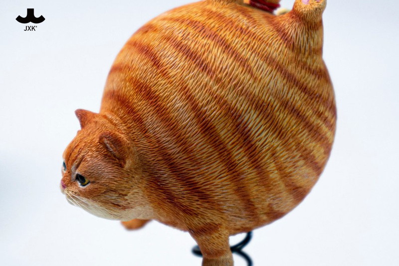 JXKスタジオ バウンシーボールキャット C