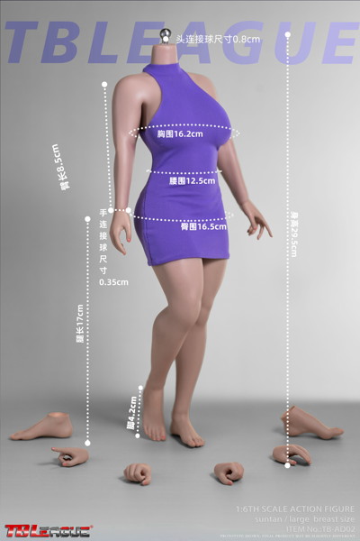 TBリーグ 1/6 女性シームレスボディ カーヴィーボディ サンタン ラージバスト