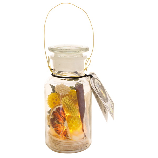 【3個セット】ジャルダンボタニークアロマライトボトル ベルガ OA-JBT-2-1