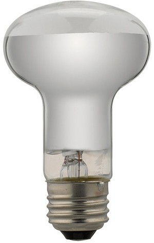 YAZAWA 10個セット 長寿命レフ電球 RF100110V38WLX10