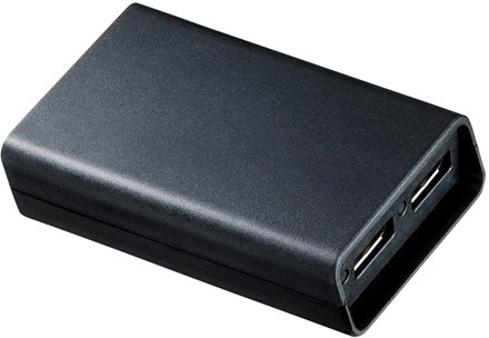 サンワサプライ DisplayPortMSTハブ（DisplayPort×2） AD-MST2DP