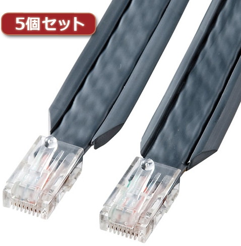 5個セット サンワサプライ アンダーカーペットLANケーブル（グレー・10m） KB-CP5-10X5
