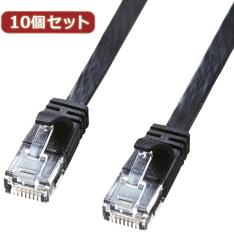 10個セットサンワサプライ カテゴリ6高屈曲フラットLANケーブル KB-FL6FA-02BKX10