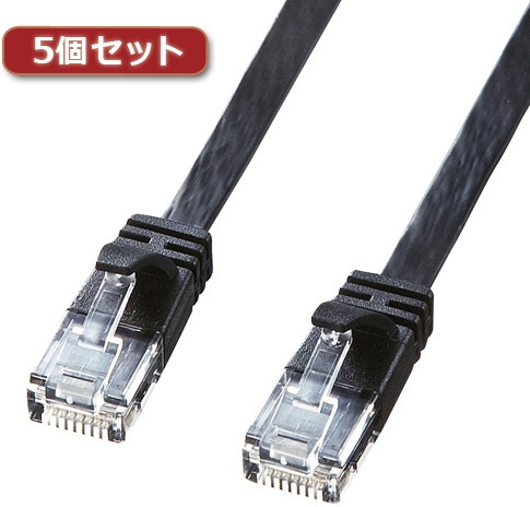 5個セット サンワサプライ カテゴリ6高屈曲フラットLANケーブル KB-FL6FA-05BKX5