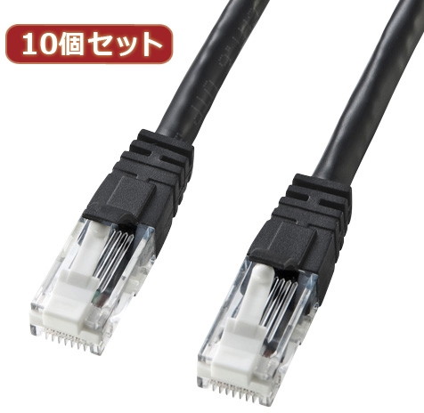 10個セットサンワサプライ つめ折れ防止カテゴリ6LANケーブル KB-T6TS-02BKX10