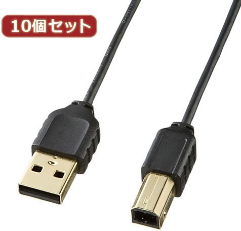 10個セット サンワサプライ 極細USBケーブル（USB2.0A-Bタイプ） KU20-SL05BKX10