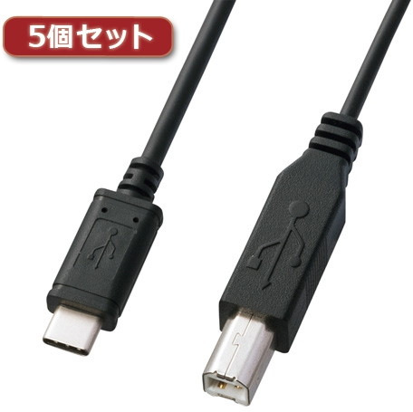 5個セット サンワサプライ USB2.0TypeC-Bケーブル KU-CB20X5