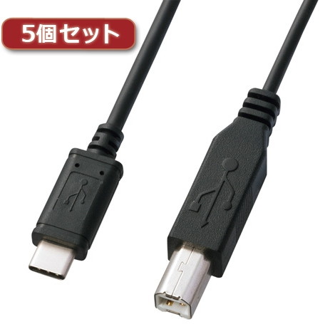 5個セット サンワサプライ USB2.0TypeC-Bケーブル KU-CB30X5