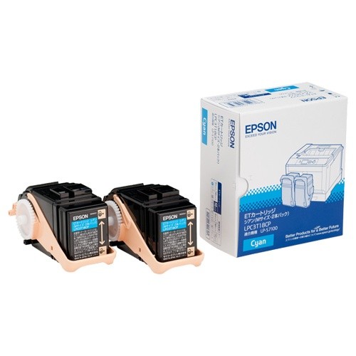 EPSON ETカートリッジ シアン （Mサイズ×2） LPC3T18CP