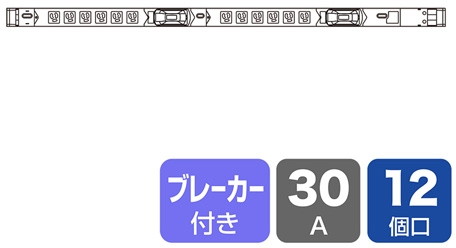 サンワサプライ 19インチサーバーラック用コンセント（30A） TAP-SVSL3012B