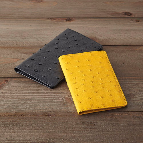 オーストリッチカードケース K11009667