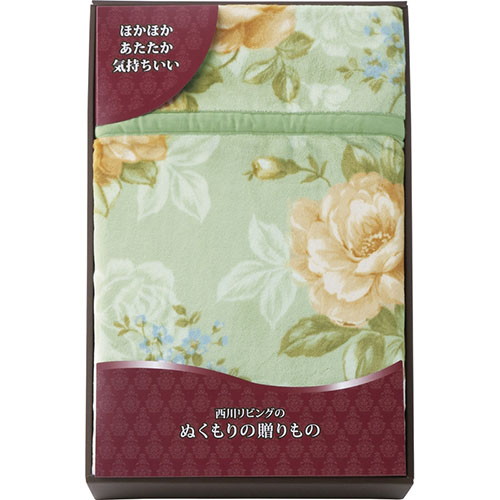 ポリエステルニューマイヤー毛布 L4075034