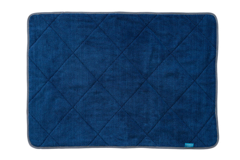 乾度良好 タオルバスマット C2136667