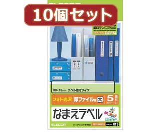 10個セットエレコム なまえラベル厚ファイル用・大 EDT-KNM13X10