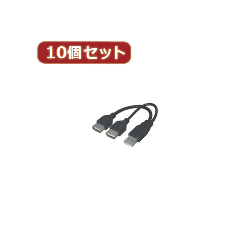 変換名人 10個セット USB分岐ケーブル USBA/2X10
