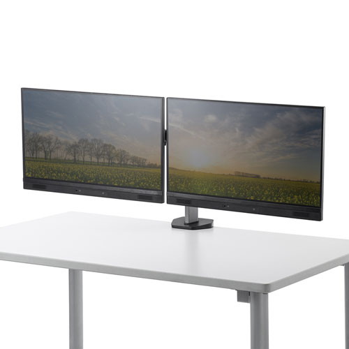 サンワサプライ 水平液晶モニターアーム 2画面用 CR-LA2002