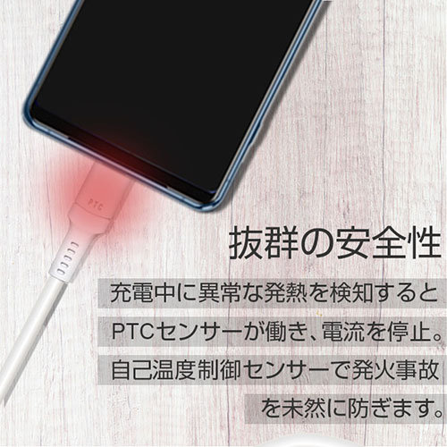 【5個セット】 エアージェイ 発火を防ぐPTC TYPE-C to Cケーブル3M UKJ-PCTC-3MX5 【5個セット】 エアージェイ 発火を防ぐPTC TYPE-C to Cケーブル3M UKJ-PCTC-3MX5