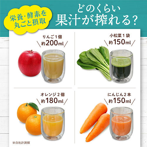 サンコー 新鮮酵素も栄養もまるごと味わう フレッシュスロージューサー WHSLJUSBK サンコー 新鮮酵素も栄養もまるごと味わう フレッシュスロージューサー WHSLJUSBK