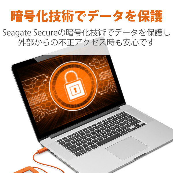 Rugged SECURE/2TB STFR2000403