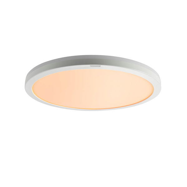 LEDシーリングライト 12畳用 調光調色 導光板 NLEH12025C-LC