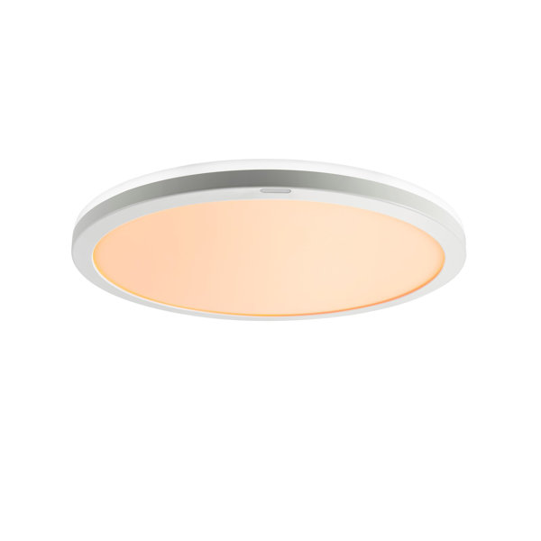 LEDシーリングライト 12畳用 調光調色 導光板 NLEH12025C-LC
