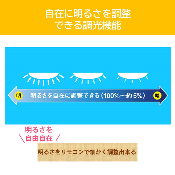 LEDシーリングライト 12畳用 調光調色 導光板 NLEH12025C-LC