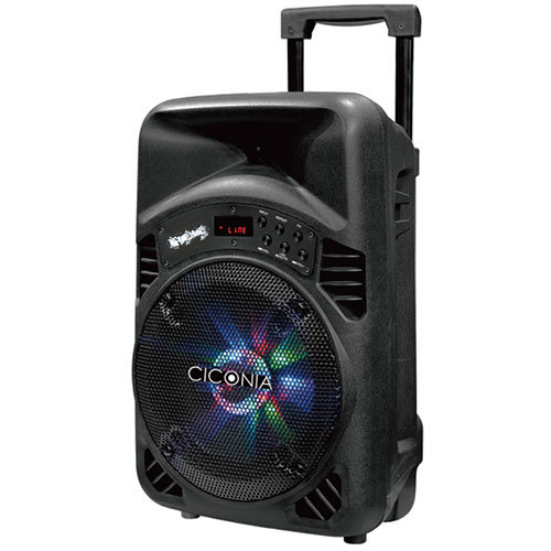 センター商事 CICONIA トロリースピーカー CTX08BS 15,303円