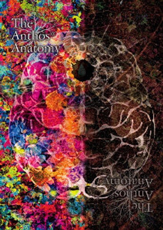 華Doll＊ The Anthos＊ Anatomy