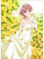 五等分の花嫁∬ VOL.1