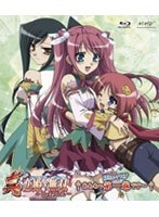 真・恋姫†無双〜乙女大乱〜 一 （ブルーレイディスク スタンダード版）