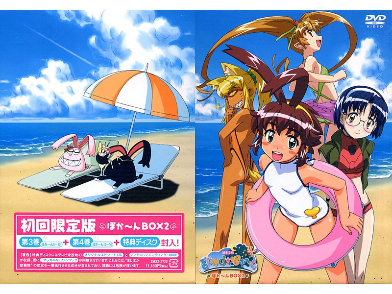 錬金3級まじかる？ぽか～ん まじぽかBOX 第2巻 （初回限定版）