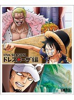 ONE PIECE ワンピース 17THシーズン ドレスローザ編 piece.25