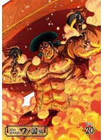 ONE PIECE ワンピース 20THシーズン ワノ国編 piece.20