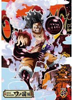 ONE PIECE ワンピース 20THシーズン ワノ国編 PIECE.49