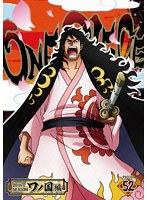 ONE PIECE ワンピース 20THシーズン ワノ国編 PIECE.52 のパッケージ